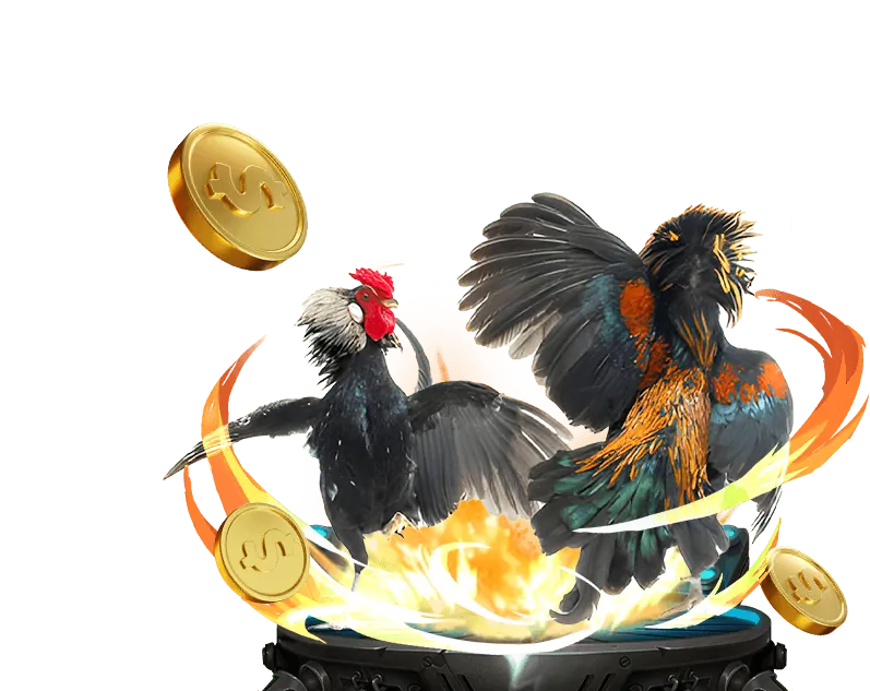 Tin tức và cập nhật qq88 live