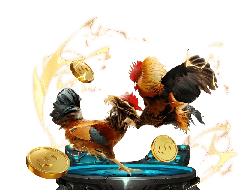 Hướng dẫn quản lý tài khoản